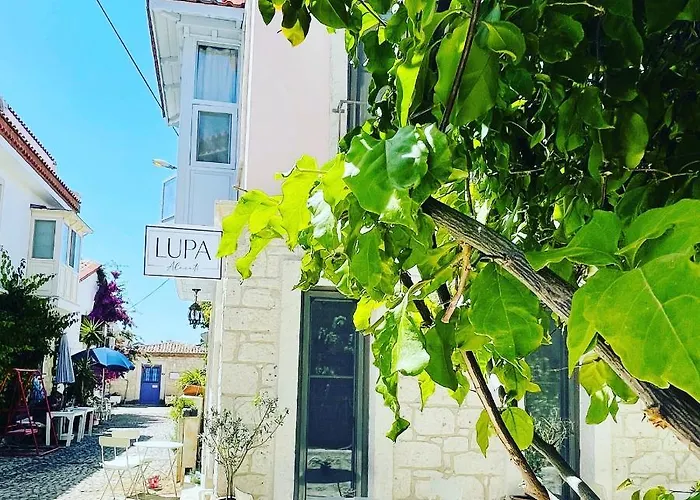 Lupa Alacati * Çeşme